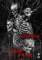 Splunę ci w pysk. Autor: Deka Adam. SmakLiter.pl Okładka książki Splunę ci w pysk