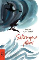 Sztormowe ptaki. Autor: Einar Karason. SmakLiter.pl Okładka książki Sztormowe ptaki