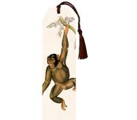 Opakowanie Zakładka 56 ze wstążką Szympans