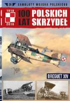 100 lat polskich skrzydeł t.25. Autor: Opracowanie zbiorowe. SmakLiter.pl Okładka książki 100 lat polskich skrzydeł t.25