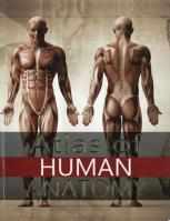 Atlas of Human Anatomy. Wydawca: MedPlus. SmakLiter.pl Opakowanie Atlas of Human Anatomy