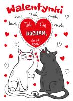 Okładka książki KARNET B6 WALENTYNKI KOTY Z MAGNESEM NA LODÓWKĘ