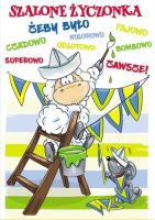 Opakowanie Karnet Smile B6 + koperta wzór nr 08