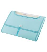 Opakowanie Teczka A4 12 przegródek miętowa D.RECT