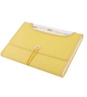 Opakowanie Teczka A4 12 przegródek żółta D.RECT