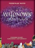 Walonowie u Ducha Gór. Autor: Wiater Przemysław. SmakLiter.pl Okładka książki Walonowie u Ducha Gór