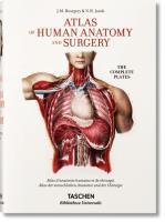 Atlas of Anatomy. Autor: Sick Henri, Le Minor Jean-Marie. SmakLiter.pl Okładka książki Atlas of Anatomy