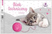 Opakowanie Blok techniczny biały A4/10K Kot