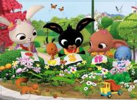 Opakowanie Puzzle Maxi Bing 24 Podziwiajmy naturę