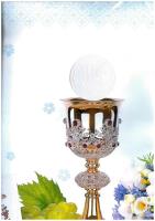 Opakowanie Torebki ozdobne komunia pol mak t9 kom 10