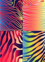 Opakowanie Zeszyt A5 w kratkę 60 kartek Rainbow 10 sztuk mix