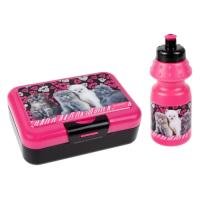 Opakowanie Bidon 350ml + pudełko śniadaniowe Kotki