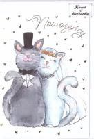 Opakowanie Karnet B6 z kieszonką - Koty