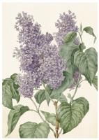 Opakowanie Karnet ST341 B6 + koperta Bez