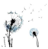 Opakowanie Karnet Swarovski kwadrat CL1208 Dmuchawce