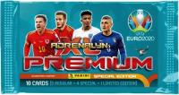 KARTY PANINI SASZETKA PREMIUM. Wydawca: Panini. SmakLiter.pl Opakowanie KARTY PANINI SASZETKA PREMIUM