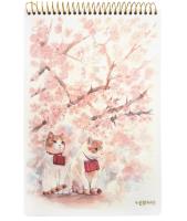 Opakowanie Kołoszkicownik B5/48K Koty 4