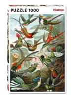 Puzzle 1000 - Haeckel, Kolibry PIATNIK. Wydawca: Piatnik. SmakLiter.pl Opakowanie Puzzle 1000 - Haeckel, Kolibry PIATNIK