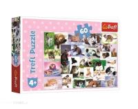 Opakowanie Puzzle 60 Koci świat TREFL