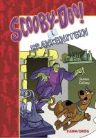 Scooby-Doo! I Frankenstein. Autor: Gelsey James. SmakLiter.pl Okładka książki Scooby-Doo! I Frankenstein