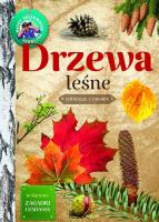 Drzewa leśne. Młody obserwator przyrody. Autor: Wilamowska Małgorzata. SmakLiter.pl Okładka książki Drzewa leśne. Młody obserwator przyrody