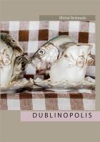 Dublinopolis. Autor: Borkowski Michał. SmakLiter.pl Okładka książki Dublinopolis