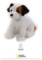 Opakowanie Jack Russell Maskotka