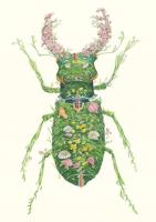 Opakowanie Karnet A110 B6 + koperta Chrząszcz