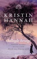 Odległe brzegi. Autor: Hannah Kristin. SmakLiter.pl Okładka książki Odległe brzegi