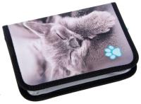 Opakowanie Piórnik bez wyposażenia 2kl Kitty