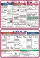Podkładka edu. 047/1 - Węglowodory i ich pochodne. Wydawca: Visual System. SmakLiter.pl Opakowanie Podkładka edu. 047/1 - Węglowodory i ich pochodne