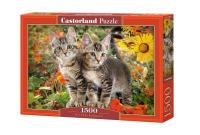 Opakowanie Puzzle 1500 Kitten Buddies CASTOR