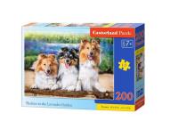 Opakowanie Puzzle 200 Shelties in the Lavender Garden CASTOR