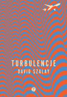 Turbulencje. Autor: David Szalay. SmakLiter.pl Okładka książki Turbulencje