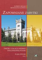 Zapomniane zabytki T.2  NOWIK WZ. Autor: Molak Elżbieta, Racławicki Ireneusz. SmakLiter.pl Okładka książki Zapomniane zabytki T.2  NOWIK WZ