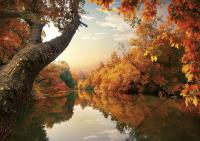 KAL.TROJ. JEDNOCZESCIOWY ROZE 2015-PRMI. Autor: T-106T-10. SmakLiter.pl Okładka książki KAL.TROJ. JEDNOCZESCIOWY ROZE 2015-PRMI