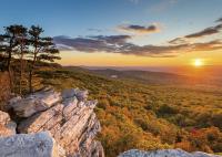 Okładka książki KAL.TROJ. JEDNOCZESCIOWY SLONECZNIKI 2015-PRMI