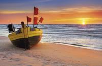 Okładka książki KAL.TROJ. SKLADANY KROKUSY 2015 - PRMI