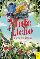 Małe Licho i lato z diabłem. Autor: Marta Kisiel. SmakLiter.pl Okładka książki Małe Licho i lato z diabłem
