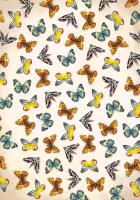 Notatnik Motyle. Autor: Opracowanie zbiorowe. SmakLiter.pl Okładka książki Notatnik Motyle