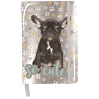 Opakowanie Notes A5 buldog pp20bu-3685