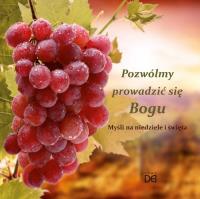 Pozwólmy prowadzić się Bogu. Autor: Piotr Koźlak CSsR. SmakLiter.pl Okładka książki Pozwólmy prowadzić się Bogu