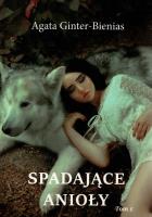 Spadające anioły. Autor: Ginter-Bienias Agata. SmakLiter.pl Okładka książki Spadające anioły