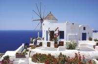 Opakowanie Terminarz 2021 Ścienny MiP