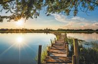 Opakowanie Terminarz 2021 Ścienny MiP