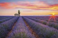 Opakowanie Terminarz 2021 Ścienny MiP