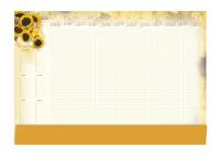 Opakowanie Terminarz Planer 2021 A2 z listwą MiP Słoneczniki