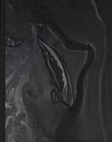 Okładka książki Wyzwolone siły. Angelika Markul i współczesny..