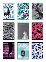 Opakowanie Zeszyt PP Fun II A5 60k kratka 4 sztuki 80gsm