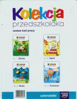 Kolekcja przedszkolaka - czterolatki. Karty pracy. Autor: Pawłowska-Niedbała Anna, Skirgiełło Aleksandra, Sosnowska Danuta Joanna. SmakLiter.pl Okładka książki Kolekcja przedszkolaka - czterolatki. Karty pracy